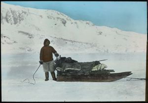 Image of Eskimo [Inuk] and Sledge